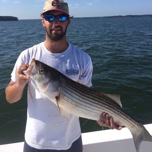 Meet your Posher, Madison